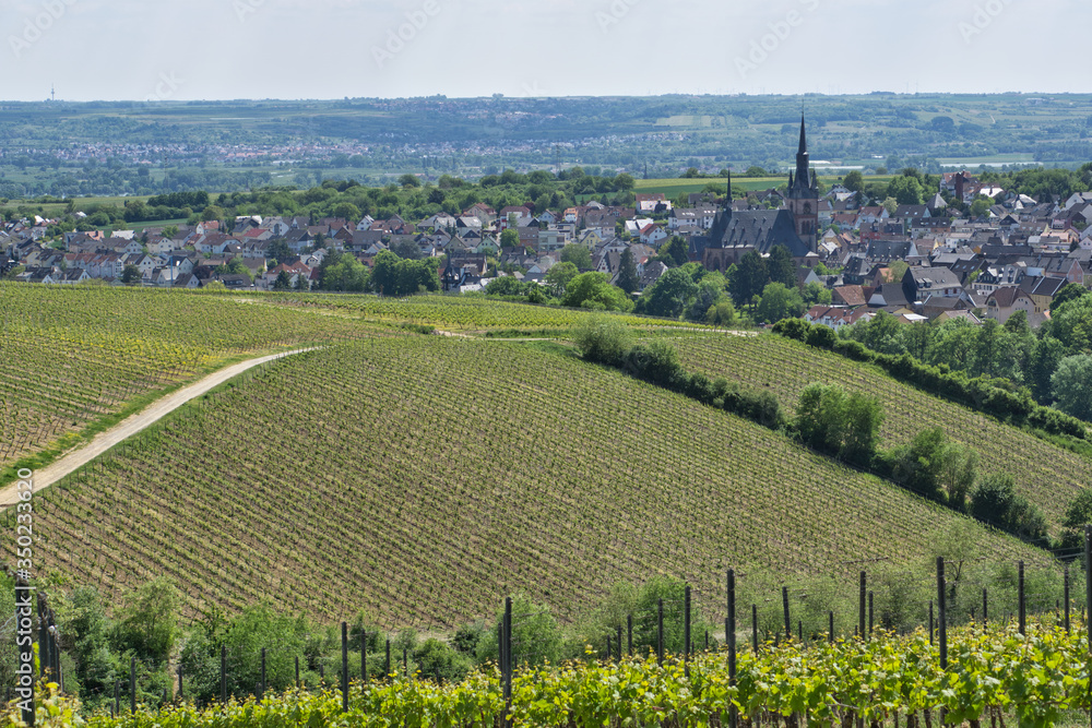 The village of Kiedrich in one of Germany's most famous wine regions - the Rheingau.