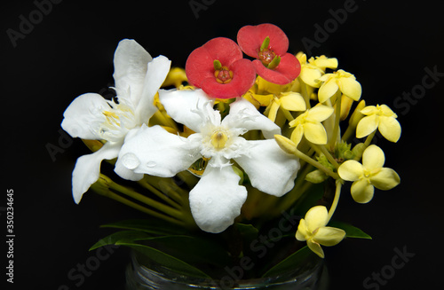 Close up of Small White, Red, Yellow Flowers.