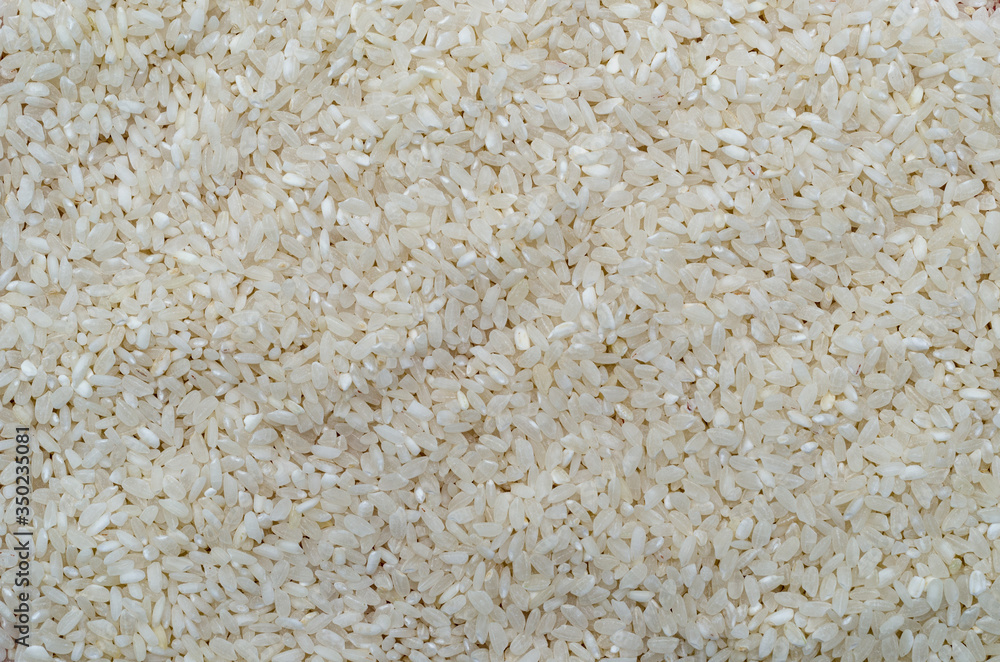 background of rice background of rice