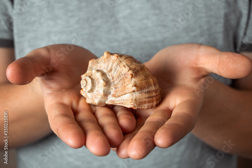 A seashell on a man's hands