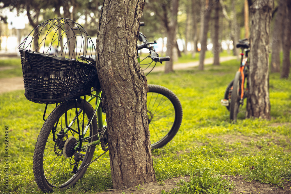 Bike left near tree with green nature around it. Countryside park, riding bikes, spending time healthy. Calm nature, spring day, positive emotions. Sportive, active leisure activity. Traveling. Bike left near tree with green nature around it. Countryside park, riding bikes, spending time healthy. Calm nature, spring day, positive emotions. Sportive, active leisure activity. Traveling.