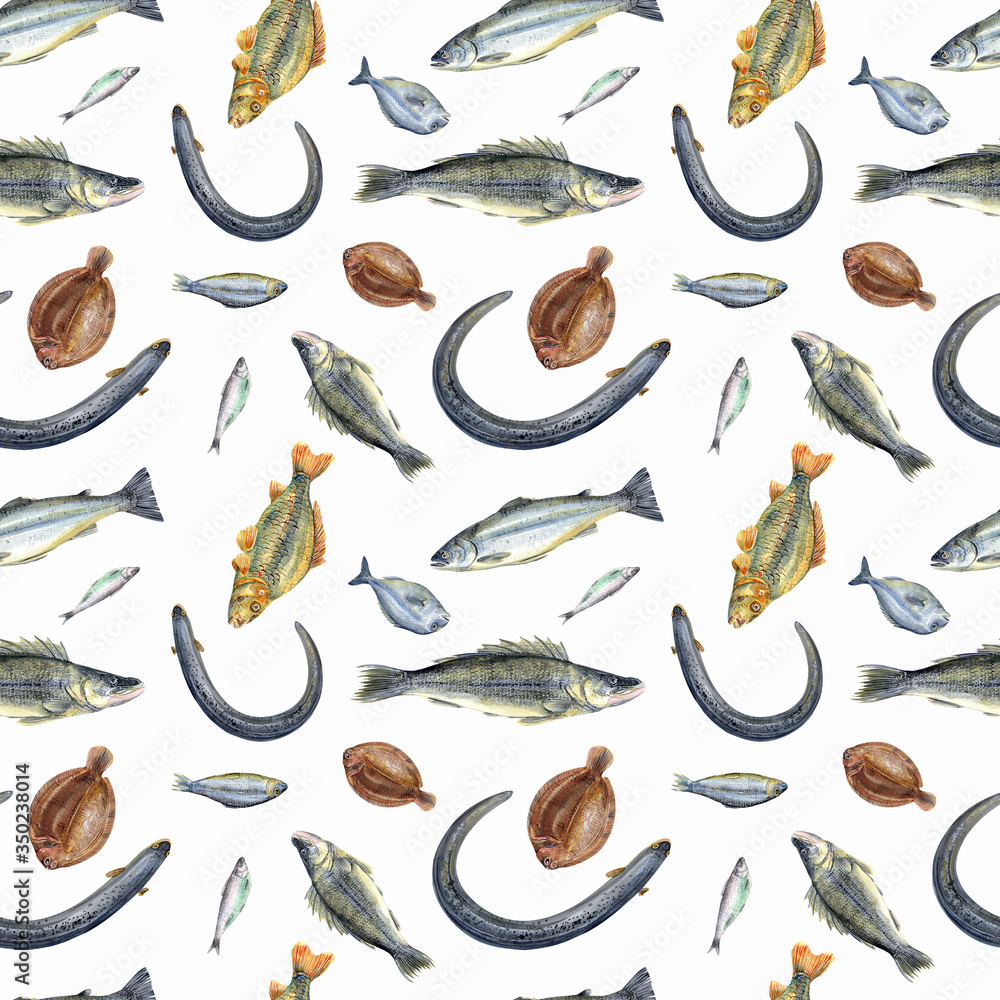 Obraz premium Fish seamless pattern on white background. Eel, herring, pike perch, salmon, dorado, carp, plaice, sprats. Stock illustration. Hand painted in watercolor.