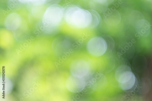 Green bokeh light nature from tree and sky background is a shiny naturally occurring shadow that is not clear but beautiful. © Kamjana