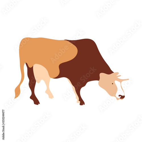 Cow silhouette made of multi-colored segments. Farm illustration.