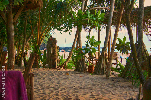 tropical beach with palm trees