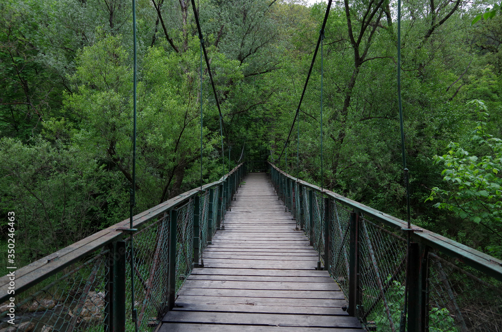 Sturdy Bridge Sturdy Bridge