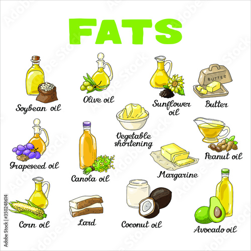 Vector illustration isolated elements with different sorts of fat