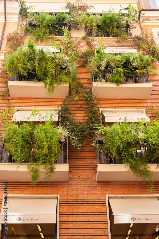 ROME, ITALY - 2014 AUGUST 21. Beautiful balconies full of plants in Rome. ROME, ITALY - 2014 AUGUST 21. Beautiful balconies full of plants in Rome.