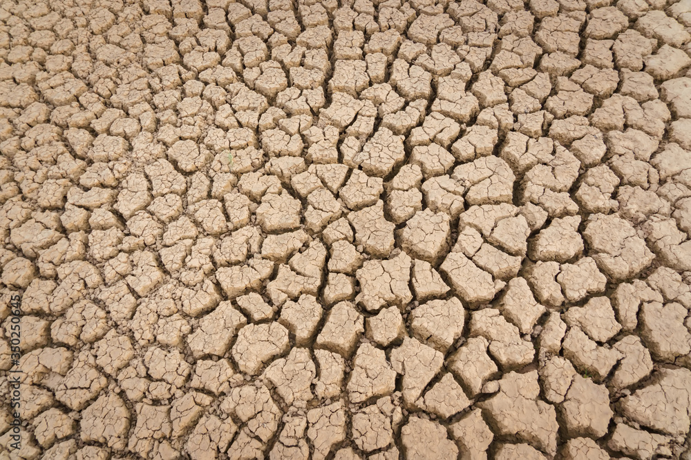 cracked ground texture ,global warming. cracked ground texture ,global warming.
