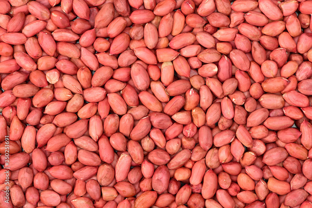 Texture of Peanuts beans background Texture of Peanuts beans background