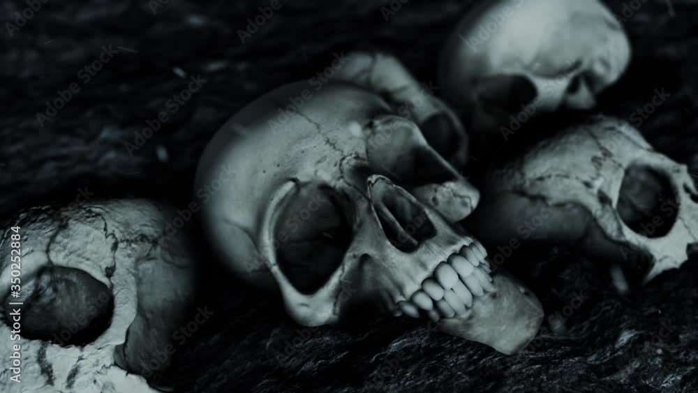 Ancient Pile of Human Skulls on the Ground Ancient Pile of Human Skulls on the Ground
