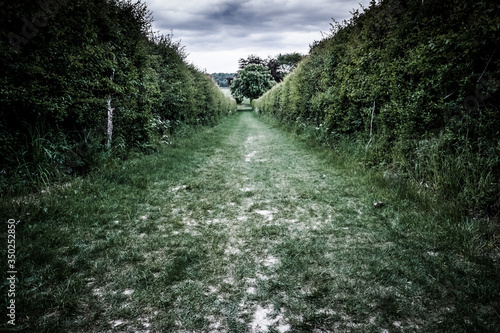 High contrast, high depth of field view of a rural path bordered by dense hedges. The path leads to a valley in the distance. 