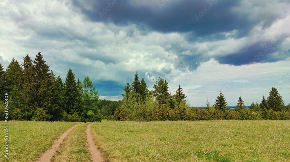 rural road to the forest against the gloomy sky with clouds