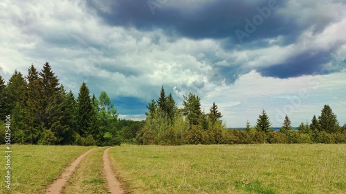rural road to the forest against the gloomy sky with clouds