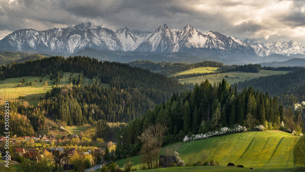 Tatra mountain - obrazy, fototapety, plakaty 