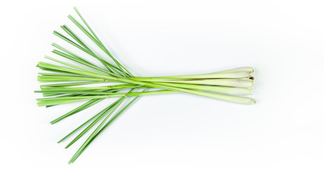 Fresh lemon grass on white background. Cymbopogon citratus.