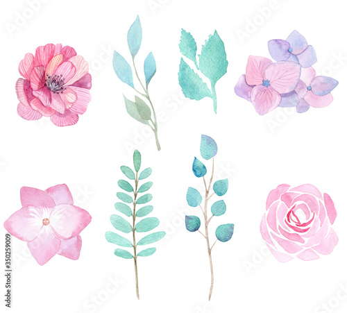 watercolor pink flowers and green leaves set isolated on white background