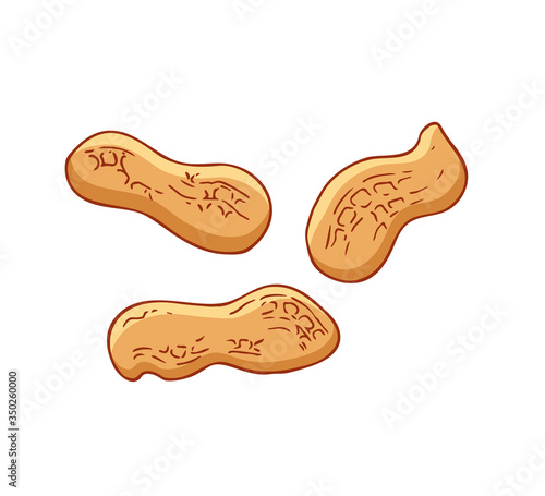 Peanut icons isolated on white background. Flat style vector illustration.