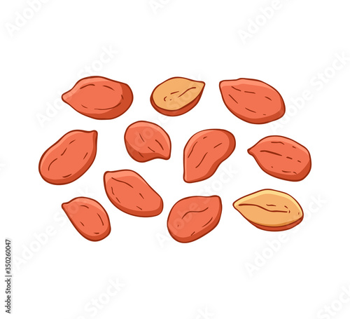 Set of peanuts icons isolated on white background. Flat peanut seeds. Vector illustration.