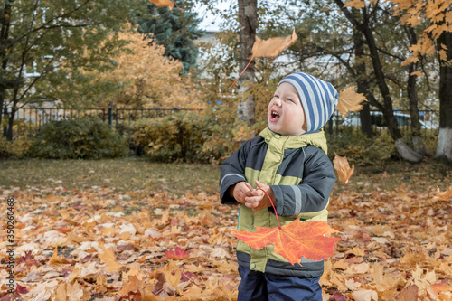 cheerful kid catching maple leaves falling in autumn city Park