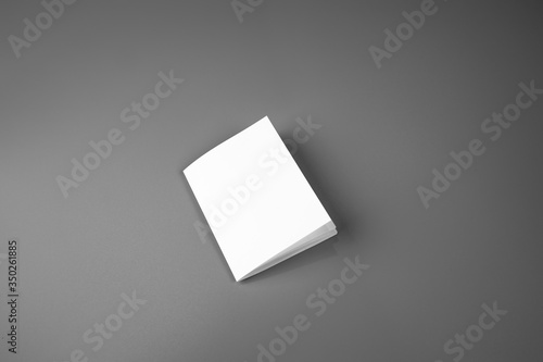 Blank portrait mock-up paper. brochure magazine isolated on gray, changeable background / white paper isolated on gray © ooddysmile