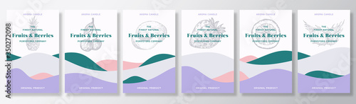 Aroma candles vector labels template bundle. Fruits and berries scents collection advert design. Sketch background layouts with abstract waves decor. Natural smell product package text space set