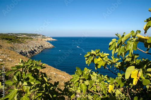 Natura selvaggia vista costa nel mare adriatico tra i colori del Salento