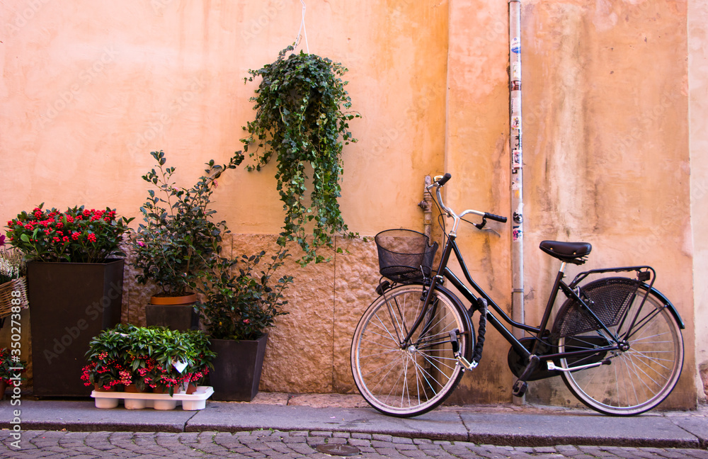 Black bicycle leaning on yellow wall with flowers plant pots in frame