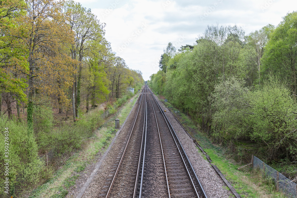 train track through a forest train track through a forest