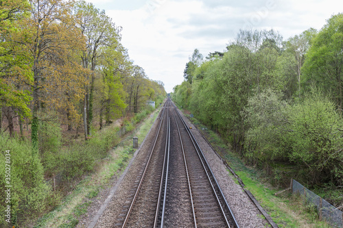 train track through a forest