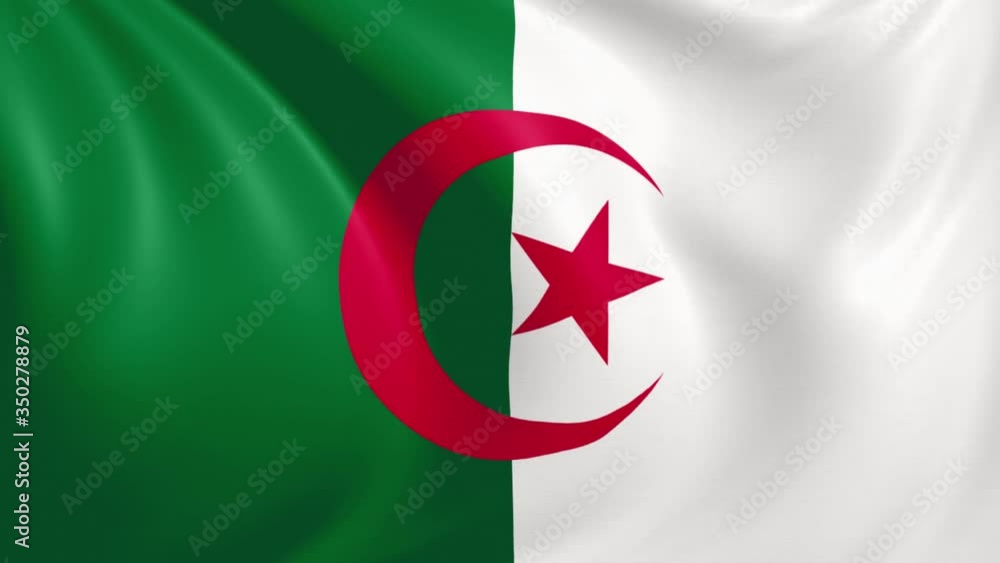 Algeria flag waving in the wind with high quality texture in 4K National Flag of Algerian Algeria flag waving in the wind with high quality texture in 4K National Flag of Algerian