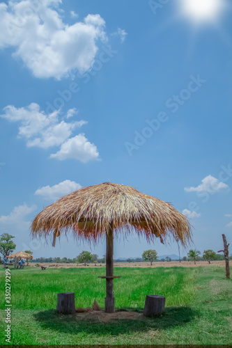 Grass hut in rice fields