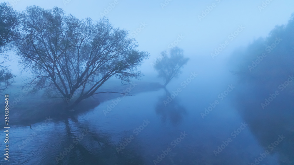 River in morning covered with fog, captivating willow trees on the bank. Beautiful landscape of plain river. River in morning covered with fog, captivating willow trees on the bank. Beautiful landscape of plain river.