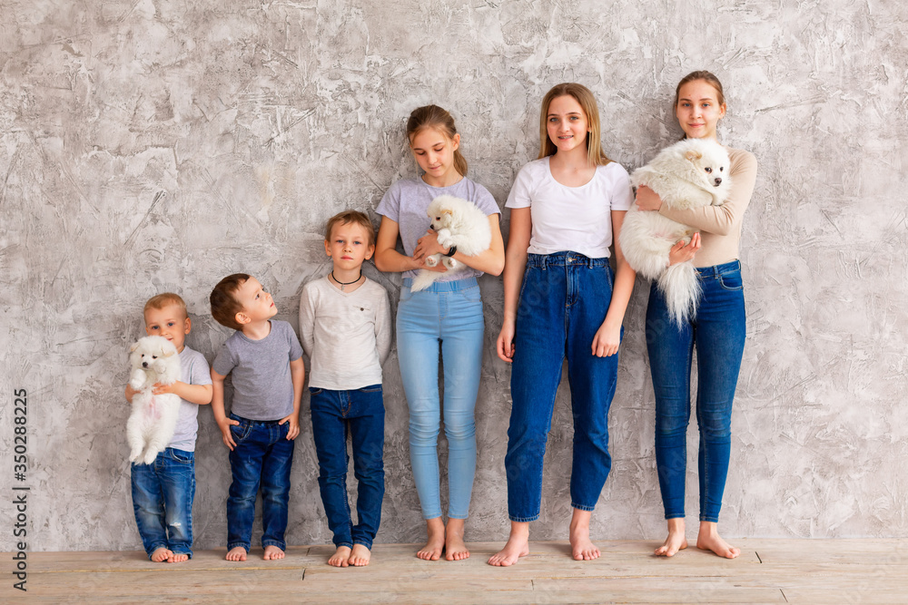 Obraz premium Happy children of different age with puppies standing in line