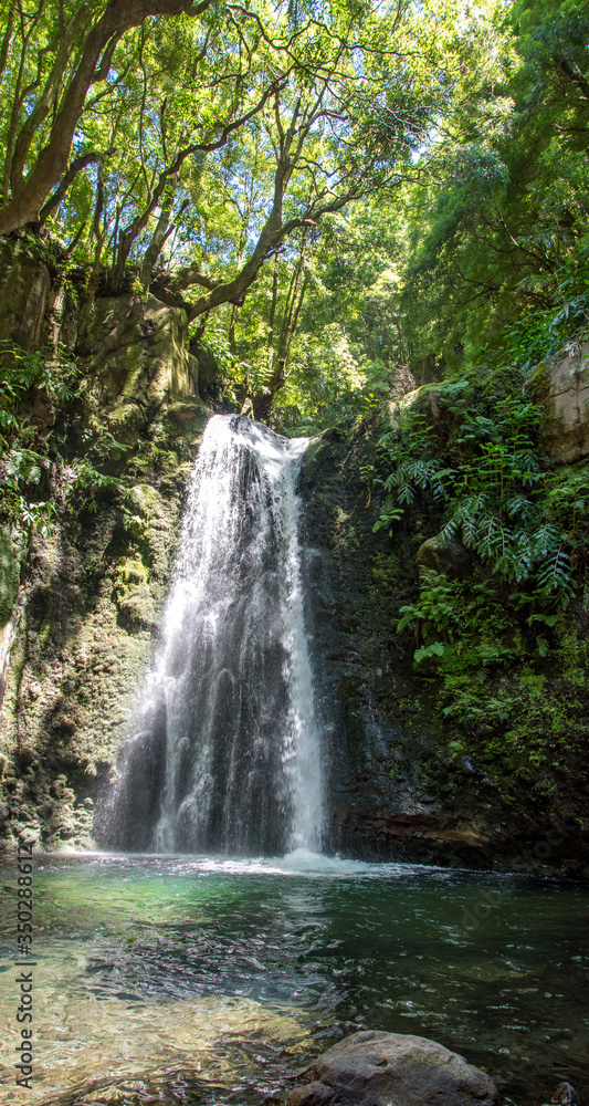 walk and discover the prego salto waterfall on the island of sao miguel, azores. walk and discover the prego salto waterfall on the island of sao miguel, azores.