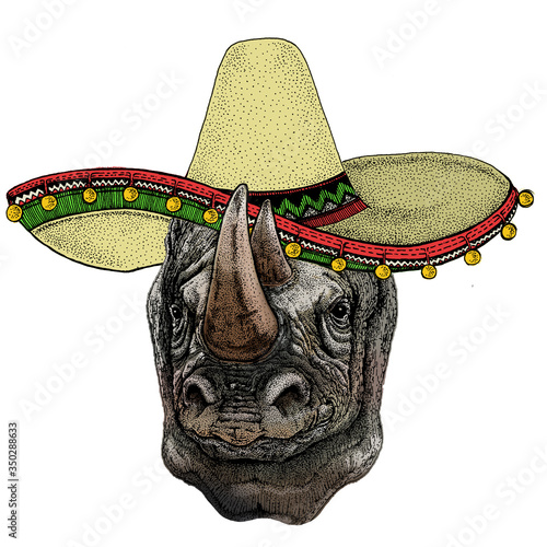Rhinoceros, rhino portrait. Sombrero mexican hat. Head of wild animal.