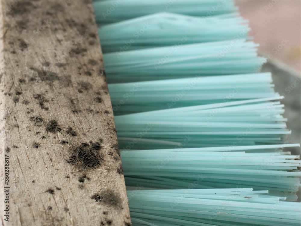 Molds Brush Causes Matting