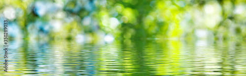 image of a green blurred background above the water