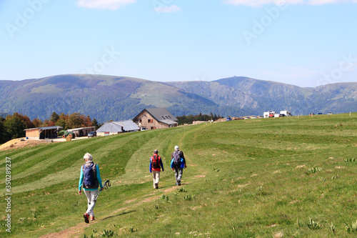 Paysage de la Vallée de Munster en Alsace