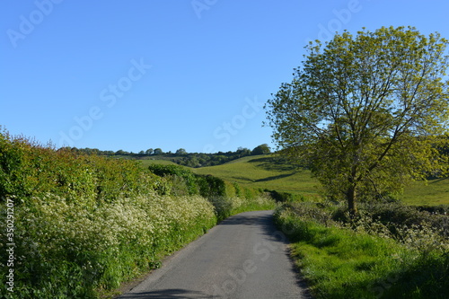 road in the countryside, between Oborne and Poyntington, Dorset, England photo