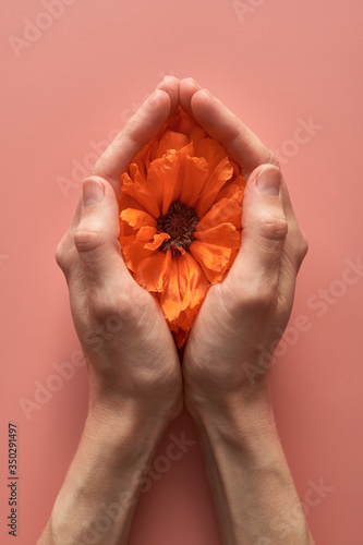 Obraz na płótnie red poppy flower in the palms of a woman. vagina abstract image w salonie