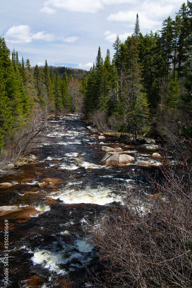 Chute d'eau en forêt canadienne Chute d'eau en forêt canadienne