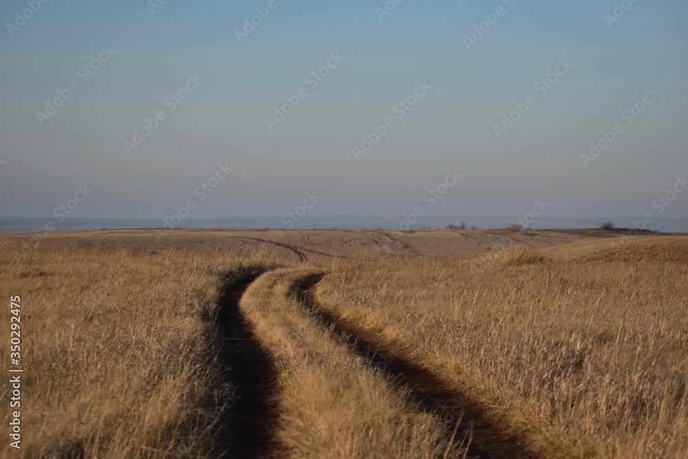 path through the field