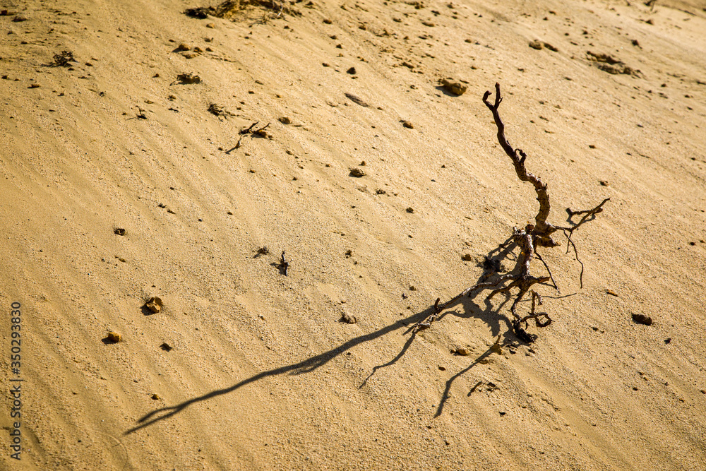 Natural sculpture in the mining sand Natural sculpture in the mining sand