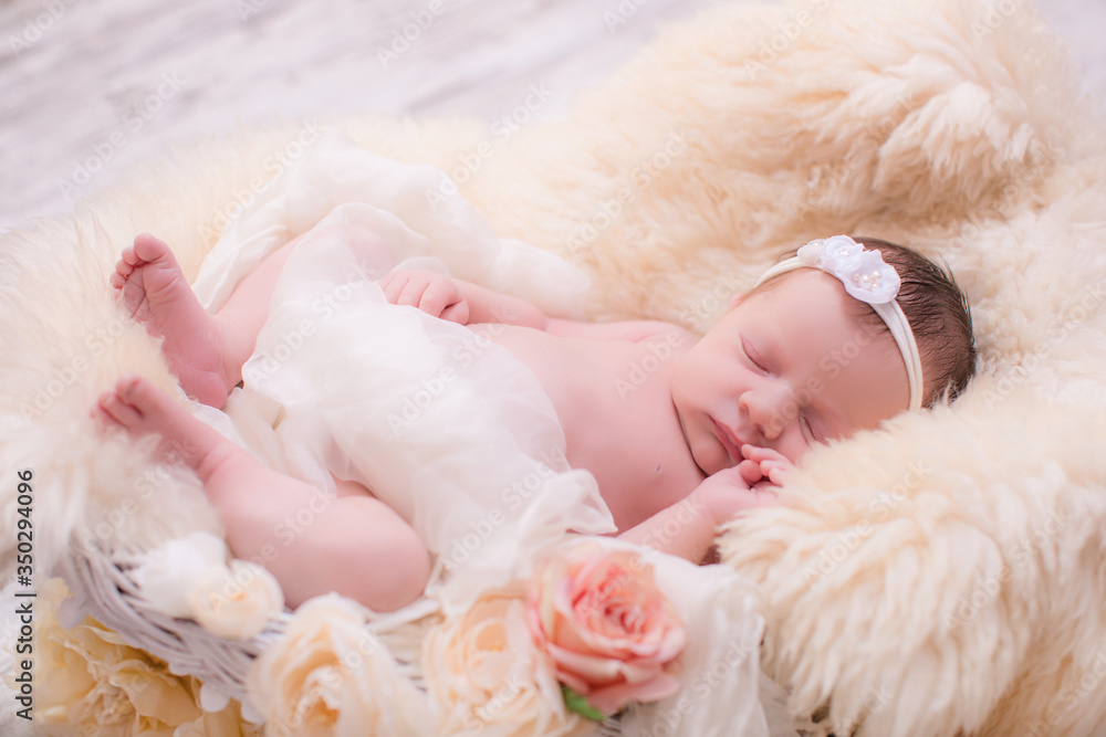 Beatiful newborn girl in floral headband, lying in sleeping basket in blanket. Beatiful newborn girl in floral headband, lying in sleeping basket in blanket.
