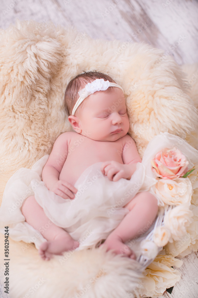 A portrait of a beautiful, seven day old, newborn baby girl wearing a large, fabric rose headband. She is swaddled with gauzy fabric and sleeping in a wire basket.