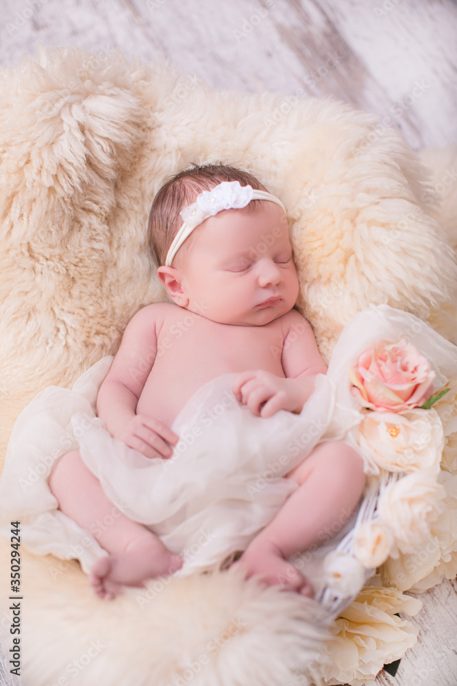 A portrait of a beautiful, seven day old, newborn baby girl wearing a large, fabric rose headband. She is swaddled with gauzy fabric and sleeping in a wire basket. A portrait of a beautiful, seven day old, newborn baby girl wearing a large, fabric rose headband. She is swaddled with gauzy fabric and sleeping in a wire basket.