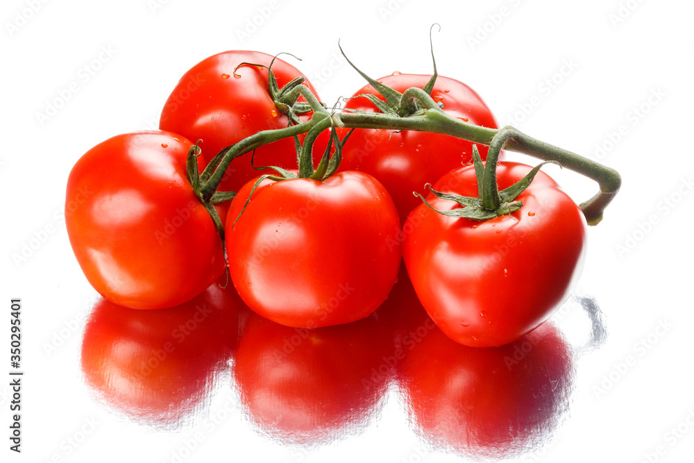 tomatoes isolated on white background tomatoes isolated on white background