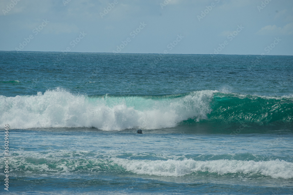 Fototapeta premium Ocean waves on a sandy beach. Tropical background.