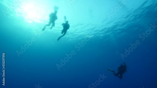 Wallpaper Mural underwater scenery of scuba divers with boat end or begining of dive  Torontodigital.ca